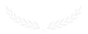 Force Multiplier award badge